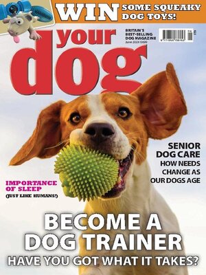 cover image of Your Dog